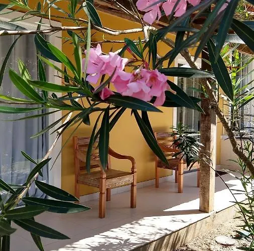 Aloha Itauna